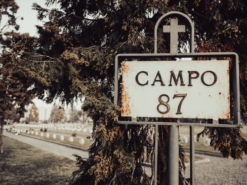 Campo 87. Field 87. (2022)